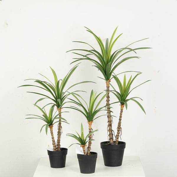 Black Plastic Pot Faux Potted Dracaena Plant 38 CM 50 CM 68 CM For Home Decor