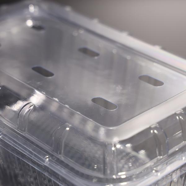Contenedor de embalagem de alimentos de plástico descartável rectangular com tampa