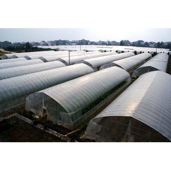 Serre chaude de pellicule de polyéthylène de feuille de plastique de serre chaude de l'agriculture 8m de tunnel