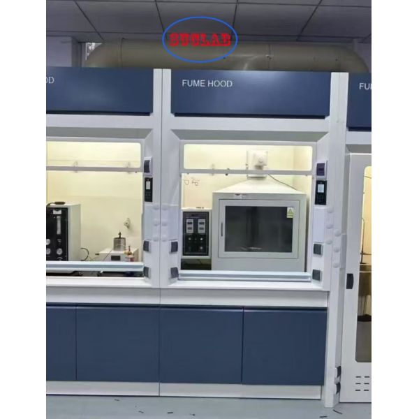 Explosion-proof Ducted Fume Cupboard White Gray Blue Selections Engineered for Fume Containment and User Protection in Labs