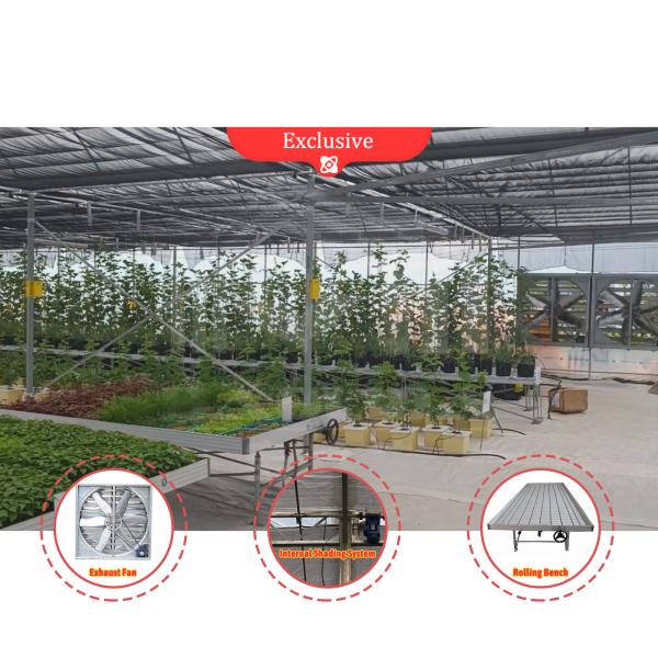Flower and Vegetable Growing Hothouse Quonset Hut Conservatory Growing House Gutter-connected Large Greenhouses with Roof Ventilation