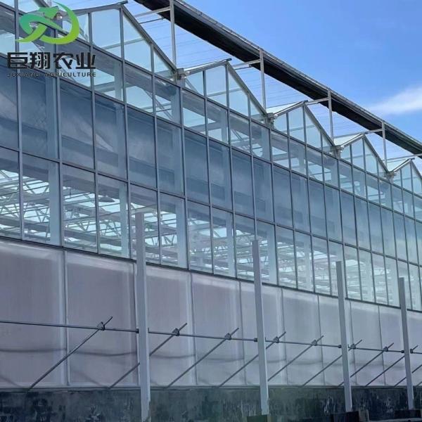 30 dias de devolução reembolsos dupla camada Juxiang Agricultura Estufas para plantação de tomate em África