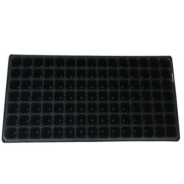 O Adenium amigável conveniente de Eco semeia a semente Tray Plastic Seedling Tray de Taiwan