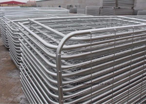 Australia Style Galvanized Metal 12 Foot Farm Gate With Welded Frame Pipe