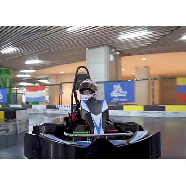 Рекреационные на открытом воздухе электрические идут Kart для взрослых участвуя в гонке 80km/H