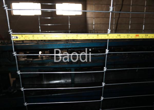 Galvanized Woven Field Wire Fence 56 Inches Height For Livestock Fencing