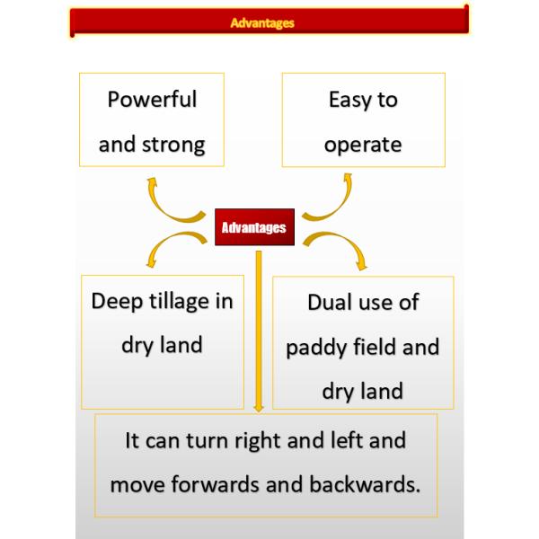 Directly Connected Mini Tiller Cultivator for Small-Scale Farming Needs