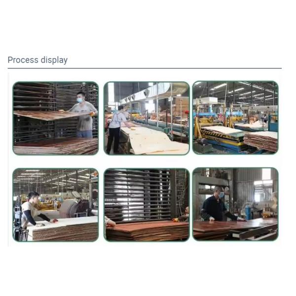 Modern Pine Shuttering Anti-Slip Plywood for Construction 4x8 9mm 12mm 15mm 18mm 21mm