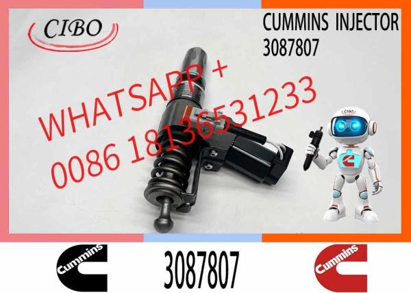 CUMMINS Construction Machinery Part Fuel Injector 3087807 CUMMINS N14 Nozzle QSN14 CUMMINS SD22 Bulldozer Engine Injector