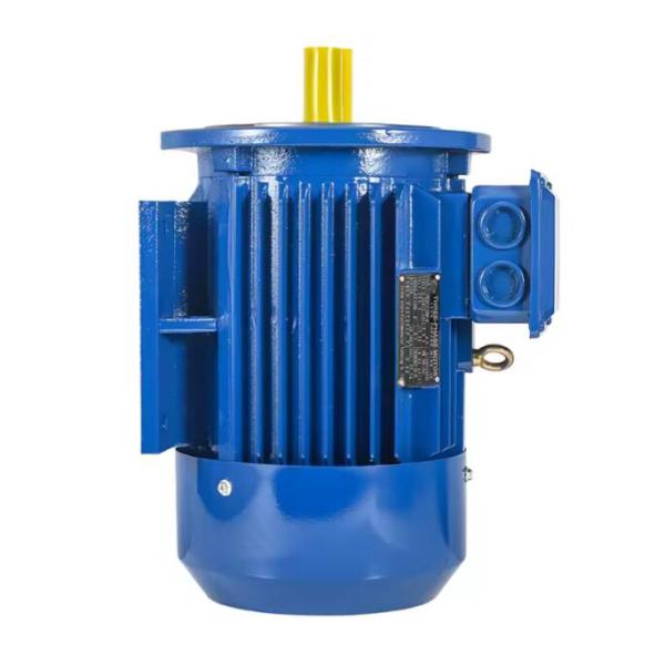 IE3 Трёхфазный асинхронный двигатель 55 kW IP54 IP55 50HZ 15KW-355KW 318V AC Электрический двигатель индукции клеток для белков