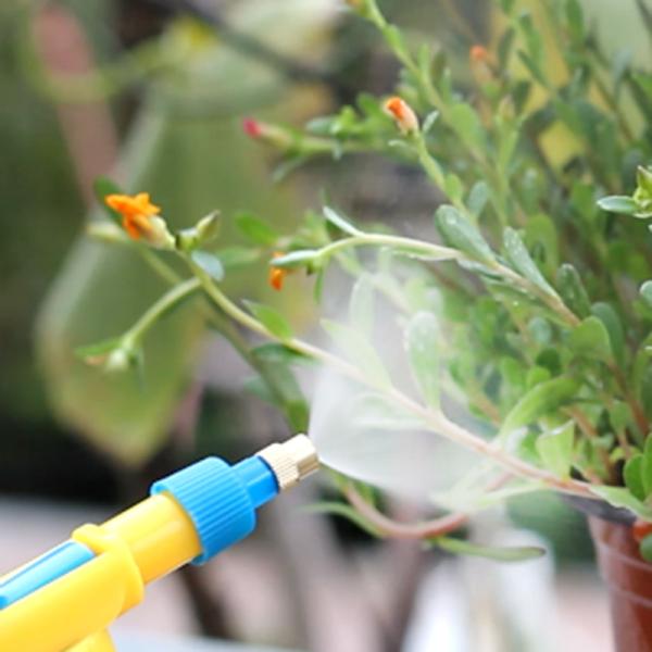 Plastic Bottle Sprayer Trigger Sprayer Nozzle with  bottle sprayer bottle