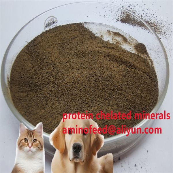 Bacteria-Derived Microbial Protein Powder By Fermented Process Crude Protein 70% MPP , BPP