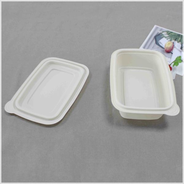 Disposable Takeaway Lunch Box With Lid Made Of Bioplastic, Factory Offered Corn Starch PP Food Packaging Container