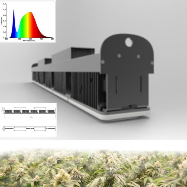 No Shading Greenhouse LED Grow Lights For Succulents Full Spectrum