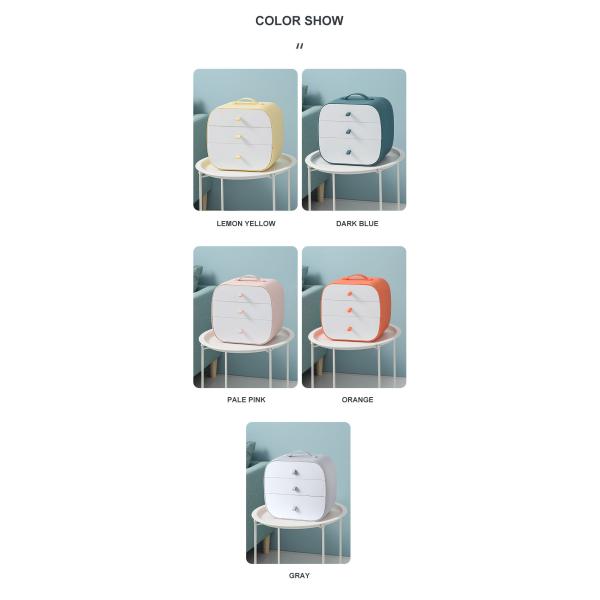 Convenient Storage Solution Dust-Proof Plastic Storage Box for Underwear and Socks