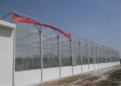 UV Protection PC Sheet Greenhouse 2100mm Max Width Co Extrusion Technology