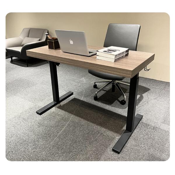 Escritorio Ejecutivo Sencillo y Cómodo, Escritorio Elevable con Motor Silencioso, Diseño Estable y Multifuncional para Uso en Oficina