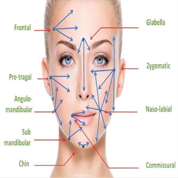 Micro-canule à bout rond en acier inoxydable certifié pour produits de comblement dermique et mésothérapie 30G 27G 25G 23G 21G 18G 50mm