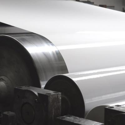 Alloy 3003 24 Gauge X 48 White Color Coating Aluminum Coil Prepainted Aluminum Sheet For Grille Ceilling Producing