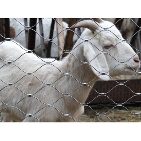 Stainless Steel Rope Mesh Zoo Fencing – High Safety and Aesthetically Pleasing