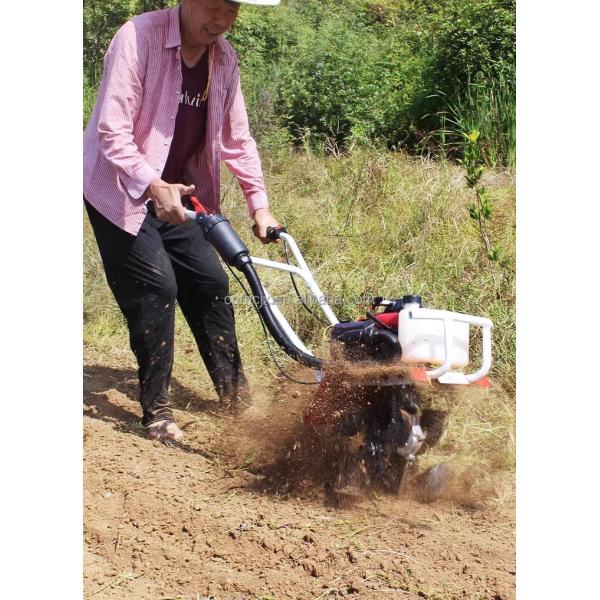 63cc Gasoline Mini Power Tiller for Small-Scale Agricultural Cultivation Work