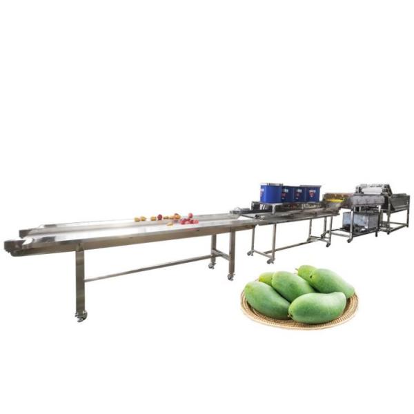 Commercial Industrial Washing Machine For Sale Vegetable and Fruits