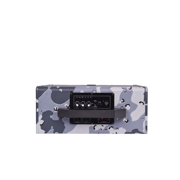 Wooden Portable Party Speakers 8