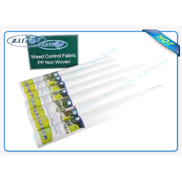 рулон ткани ландшафта широкого белого цвета 25мтр анти- УЛЬТРАФИОЛЕТОВЫЙ не сплетенный для защищая складывать заводов