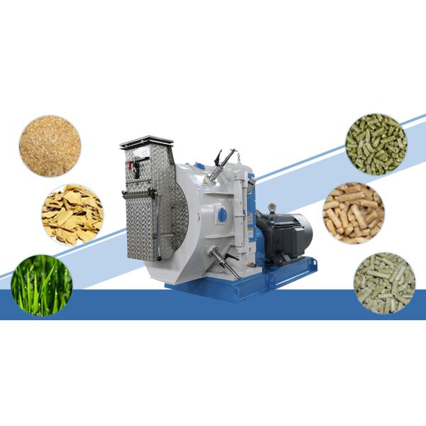 Poultry Ring Die Pellet Mill Equipment Chicken Fish Cattle Sheep Animal Feed