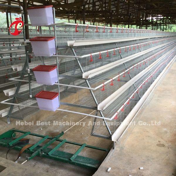 Premium H type Layer Battery Cage Price In Nigeria stable Iris