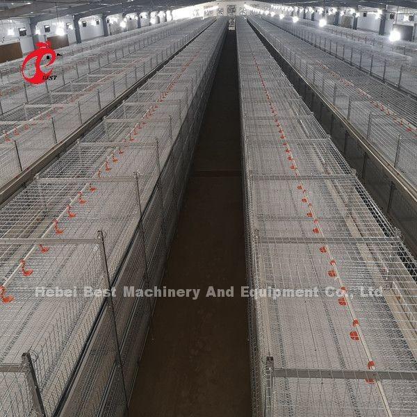 45 Days A H Type Broiler Cage 25 Years Lifespan With Drinkers And Feeders Star