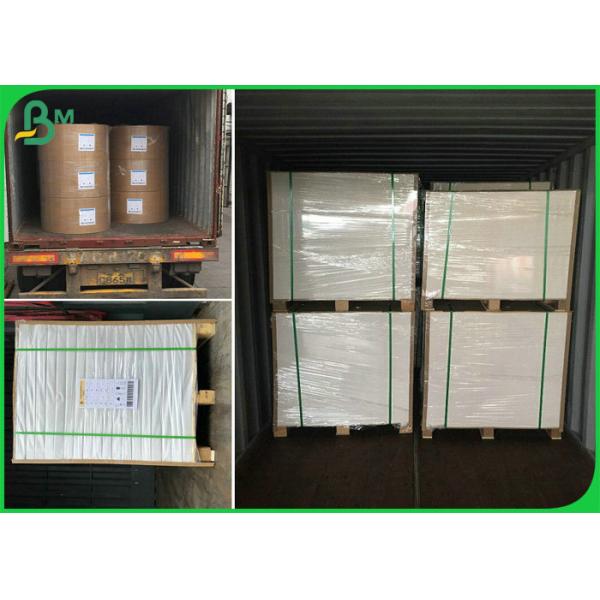 school book paper 1000mm 60gsm 70gsm 80gsm FSC Certified White School Book Paper In Reels