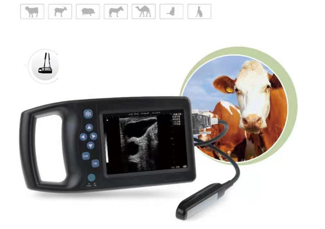 B Veterinayy Ultrasound Sheep Dog Horse Handheld Pigs Scare Pregnancy Animals Mobile Device Veterinary Ultrasound Machine Scanner