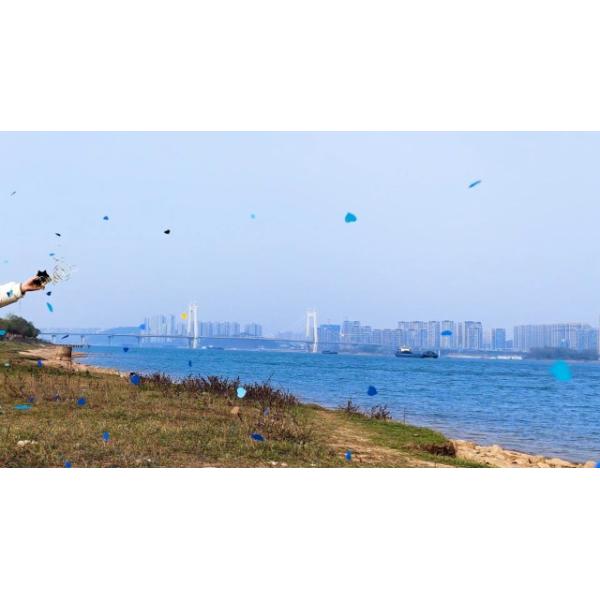 60cm Gender Reveal Confetti Cannon Popper Smoke Powder Confetti Sticks for Party Supplies