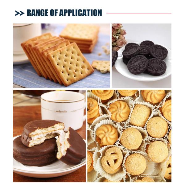 Automatic Smart Belt Feeding System Food Electric Belt Conveyor For Biscuit Product Line