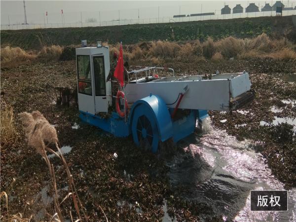 Self Propulsion 10M2 Body Pond Weed Harvester River Weed And Floating Cleaning