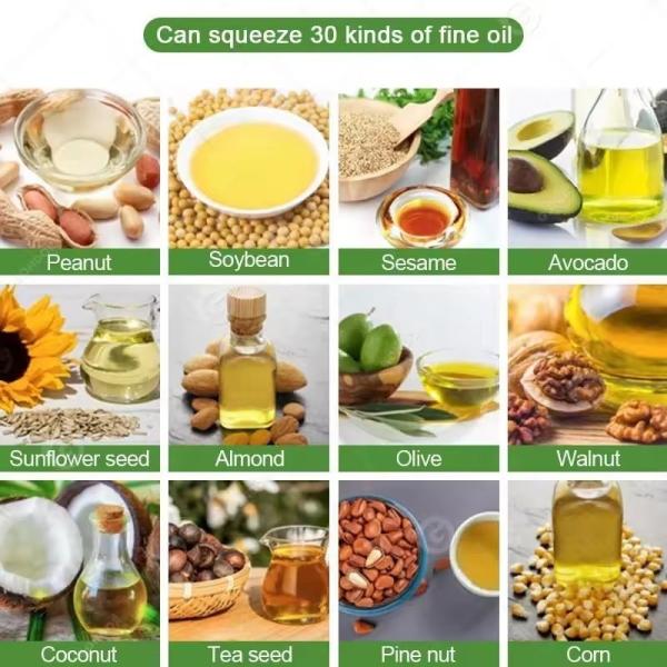Homemade Cotton Seed Cashew Soybean Oil Press Processing Castor Oil Extraction Machine