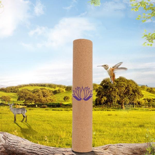 Rubber Natural TPE Professional Yoga Mat No Smell OEM Foldable Large Pilates Mat