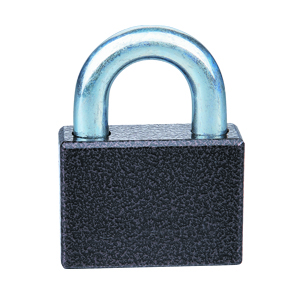 Rarlux Industrial Safety Durable High Security Solid Iron Disc Padlock 60-70mm with Plastic Painted Body and 3 Pcs Vane Keys