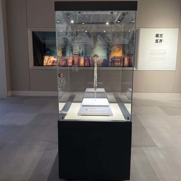 Custom Glass Museum Showcase with LED Lighting Freestanding Display Cabinet for Exhibitions