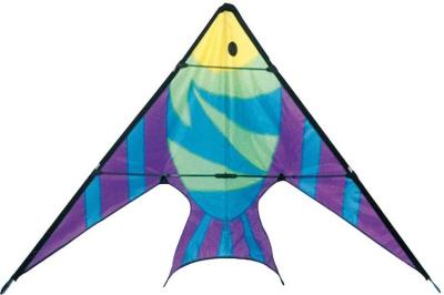 Variabilidade do estilo afiado dos peixes do papagaio do conluio do diamante com praia