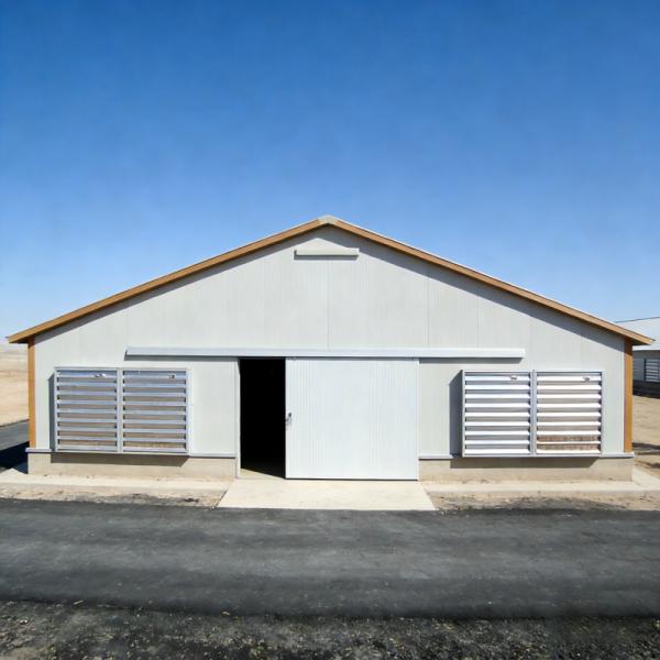 Install a durable steel-structured chicken house equipped with a ventilation and insulation system