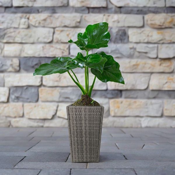 Factory Hot Sale Metal Frame PE Rattan Weather Resistance Indoor Outdoor Planter Stand Popular Flower Pot