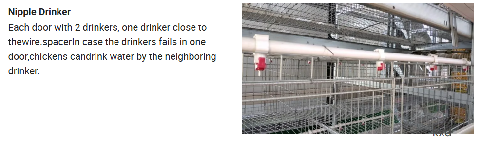 Hot-dip galvanized H-type layer cage with high egg laying rate and good ventilation for large scale poultry breeding