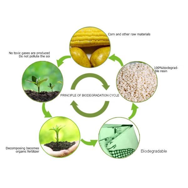 сумка майцены 2.3Mil поли Biodegradable упаковывая многоразовая