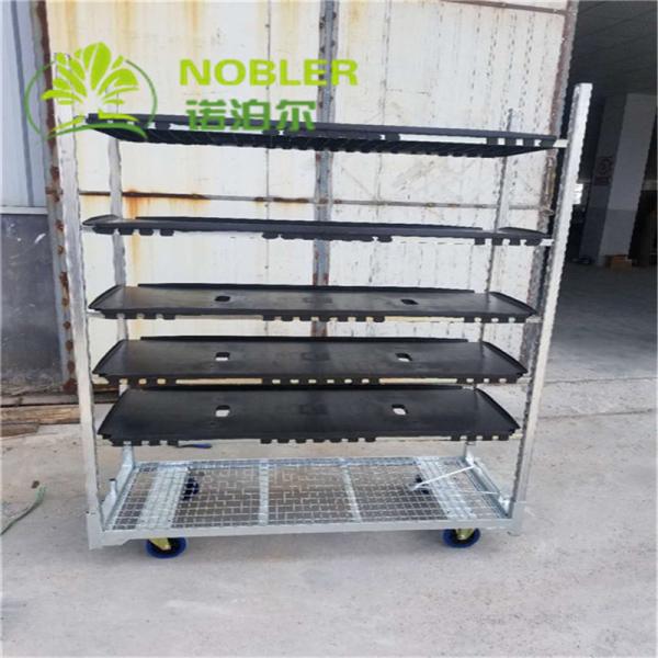 Hot Galvanized Plywood Greenhouse Flower Carts Customized Trolley For Transport