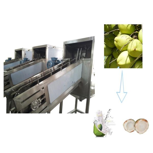 Tender Coconut Water Juice Processing Plant Making Production Equipment Line