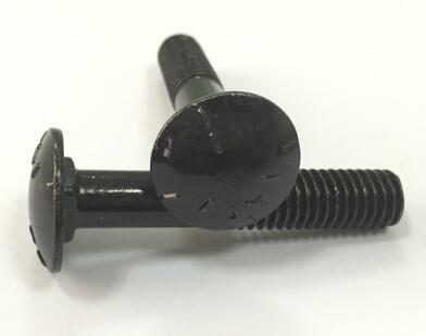 Oxidable Din603 Round Head Black Carriage Bolt Spring Lock Washer Stainless Steel Material