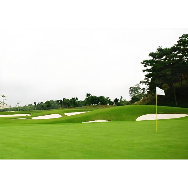 Versatile Synthetic Lawn Grass All Weather Artificial Grass Turf Customizable Multi Use Surface
