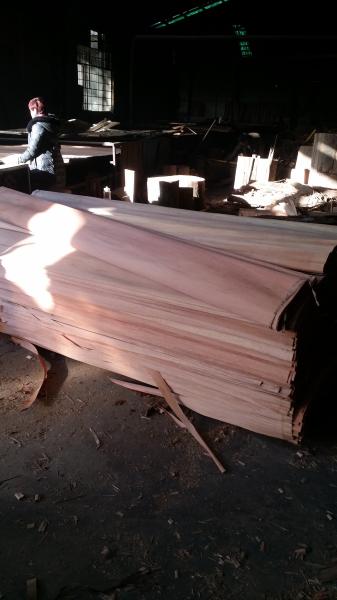 1270*2550*0.3mm natural gurjan face veneer,keruing veneer for india market ,Burma Face Veneer